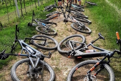 PIT-STOP-MAGGIO